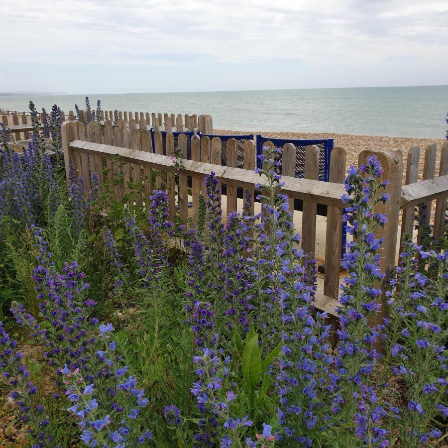 Beachfront Studio Pevensey Exterior photo
